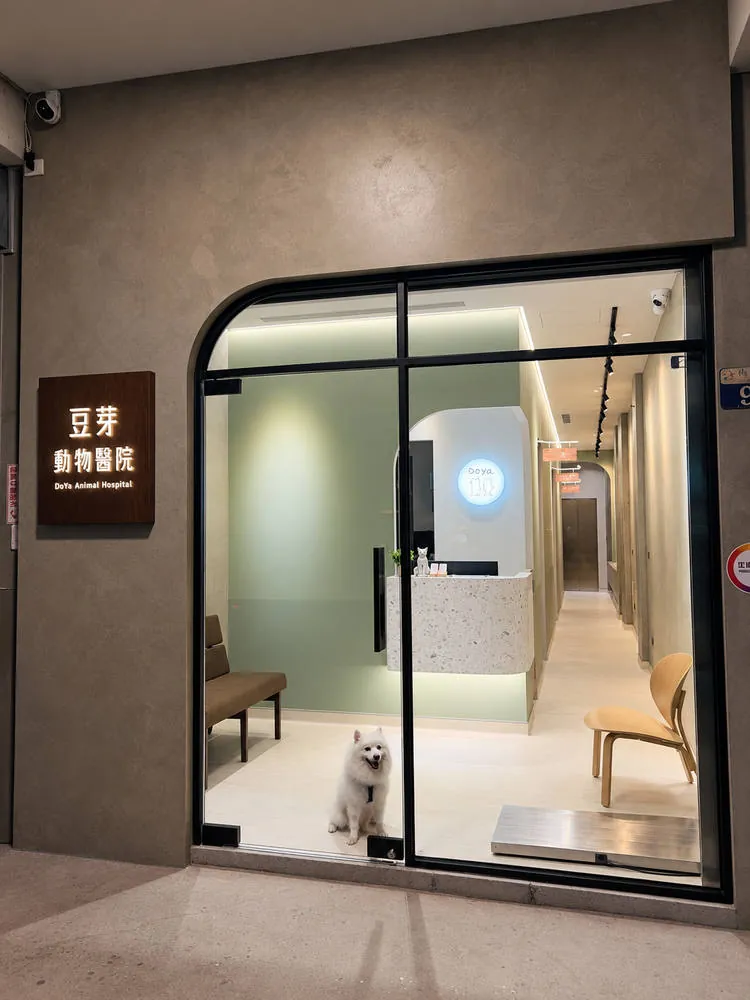 豆芽動物醫院入口,招牌與門內等候的白色狗狗